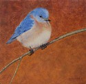 Kelly Leahy Radding, Eastern Bluebird 
Songbird Series #2
gouache & oil on cradled panel