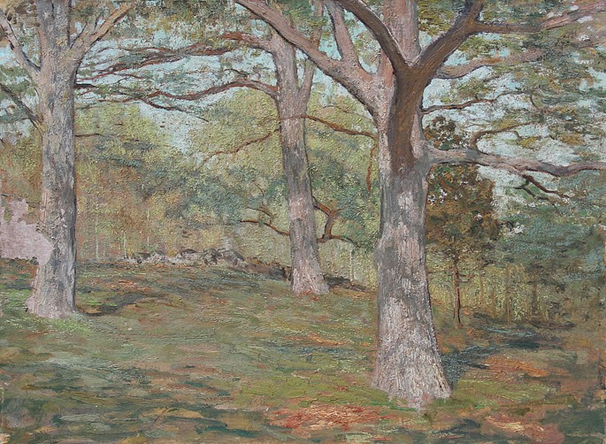 Allen Butler Talcott, The Oaks
oil on canvas, 18" x 24"
unsigned
ABT203
$6,500