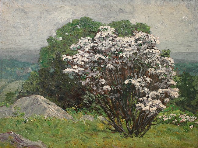 Allen Butler Talcott, Spring Blossoms
oil on panel, 12" x 16"
unsigned
ABT 119
$5,500