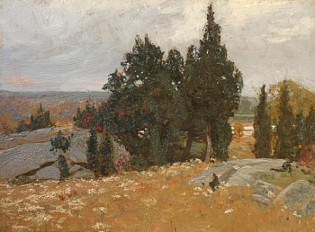 Allen Talcott painted this abandoned pasture of rocks and cedars under a cloudy sky.