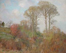 Allen Talcott depicts shrubs with old winter growth beside tall budding trees giving way to spring.