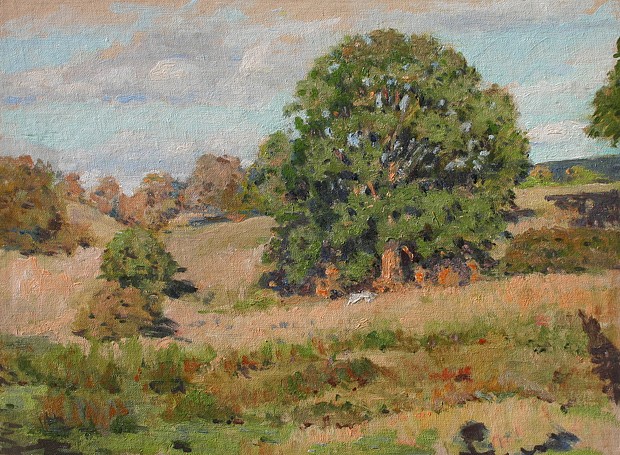 Helen Savier DuMond, The Meadow
oil on board, 12" x 16"
unsigned
RH HD 139
$2,800