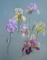Dorothy Ochtman, Irises (#86)
pastel on paper