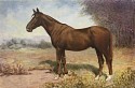 J. Phillip Schmand, Portrait of a Chestnut Horse
watercolor on ivory