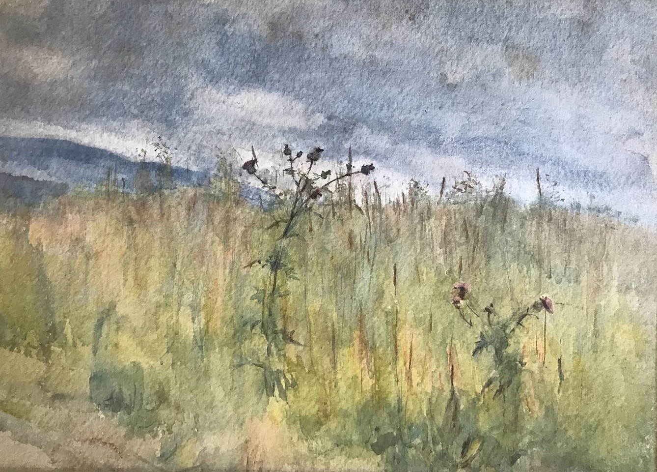 Anna Mariah Brown, Thistles
watercolor on paper, 9 1/4"" x 13 1/4"" ss
JCA 5586.02
$600