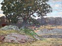 Allen Butler Talcott, Rocky Pasture
1904, oil on panel