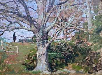 Allen Butler Talcott - Guardian of the Pasture