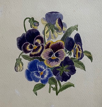 flowers: American School Pansies & Holly