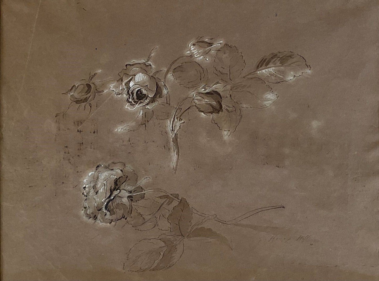 George Henry Hall, Roses
ink and gouache on brown paper, 8 1/2"" x 11"" sight size
JWC 04/11.01
$2,800