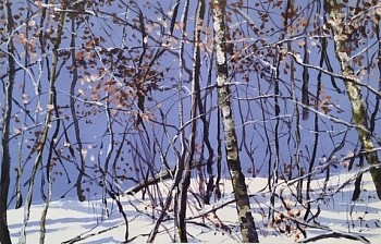 Angelita Surmon -&nbsp;Snow Shadows