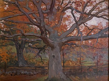 Allen Butler Talcott - Autumn Maple