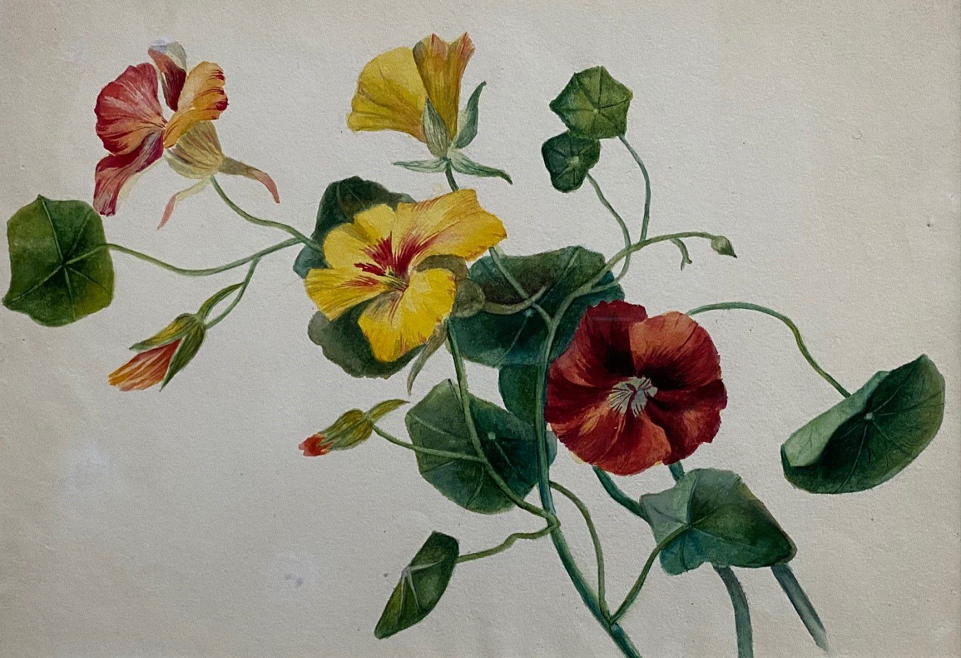 American School, Nasturtiums
watercolor on paper, 6 3/4"" x 10""
JCA 6551.03
$500