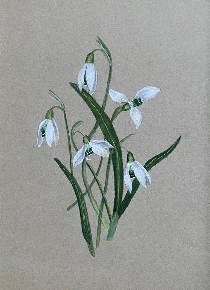 American School, Snow Drops
watercolor and gouache on paper, 6 1/4"" x 4 5/8""
JCA 6551.06
$400