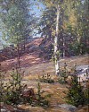 Gustave Adolph Wiegand, New Hampshire Hillside
oil on board