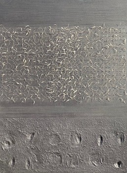 Available Artists: Tuwaletstiwa, Judy