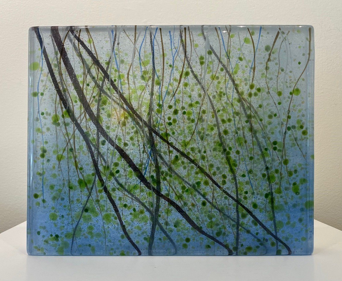 Angelita Surmon, Weeping Willow
kiln formed glass, 8"" x 10"" x 1.25""
AS 0722.03
$900