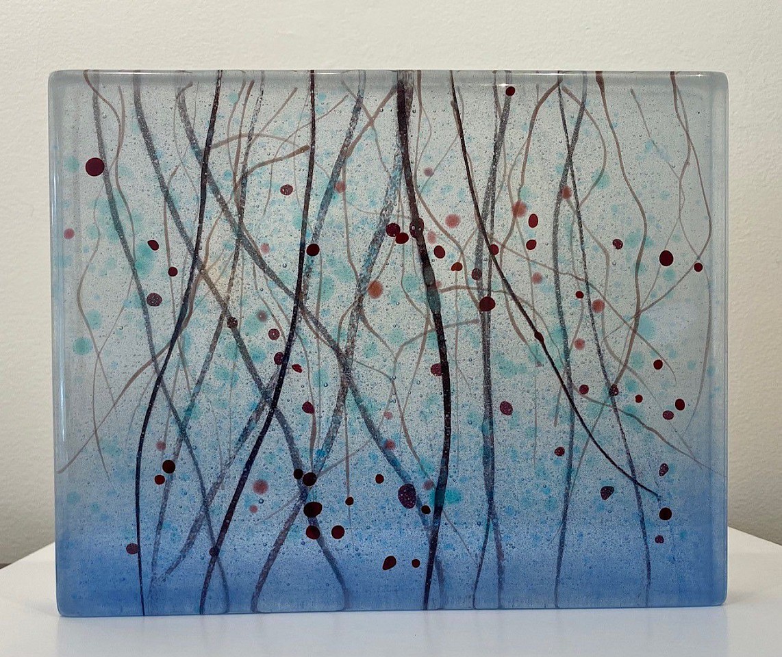 Angelita Surmon, Branch Reflections
kiln formed glass, 8"" x 10"" x 1.25""
AS 0722.02
$1,250