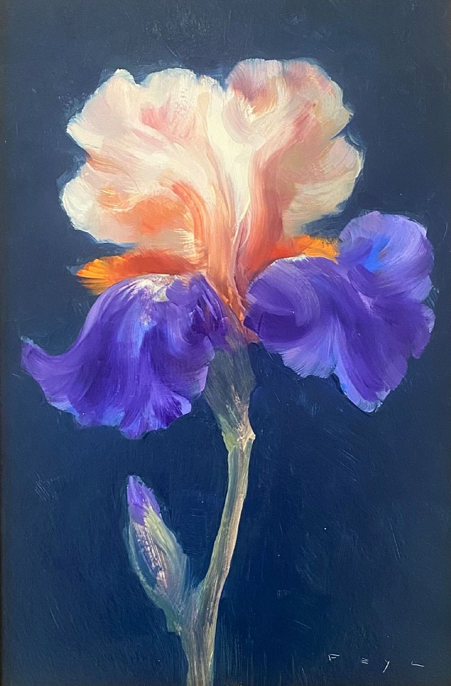 Ralf Feyl, Bearded Iris #1, 2023
oil on board, 12"" x 8""
JCA 6740.02
$1,500