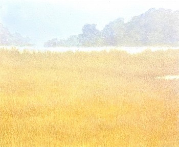 William Shattuck -&nbsp;Marsh with Lifting Fog