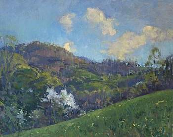 Peggy N. Root -&nbsp;Springtime Hills