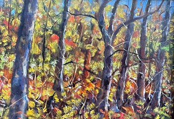 Work: Willard Lustenader Studio Garden