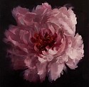 Ralf Feyl, Peony
2025, oil on board