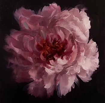 Ralf Feyl -&nbsp;Peony, 2025