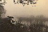 harron marsh