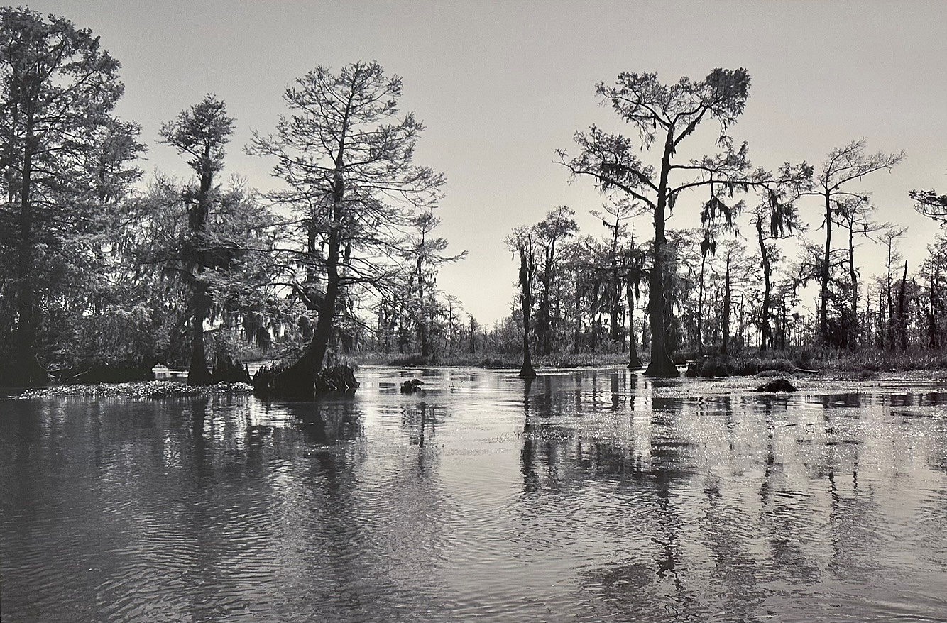 Peter Harron, Morning in the Bayou
silver gelatin print, 19 1/2"" x 29 1/2""
PH 0826.38
$1,200