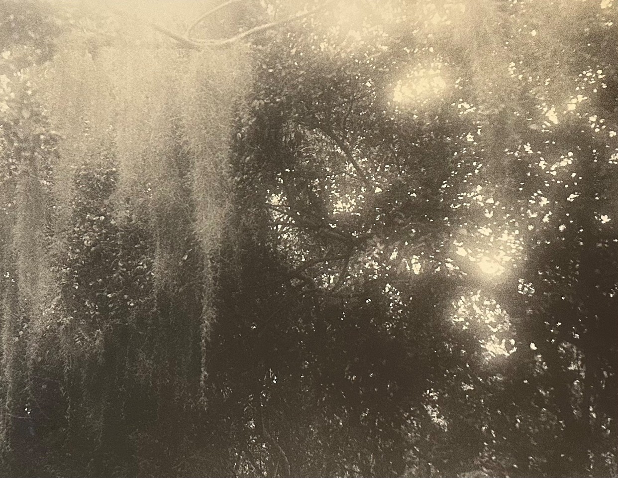 Peter Harron, Morning Light
gelatin silver print, 14 1/4"" x 18 1/2""
PH 0826.25
$1,000
