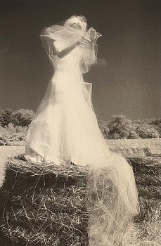 Work:&nbsp;The Bride