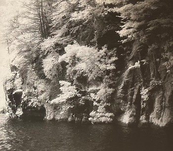 Peter Harron -&nbsp;Whale Bone Meets the Connecticut River
