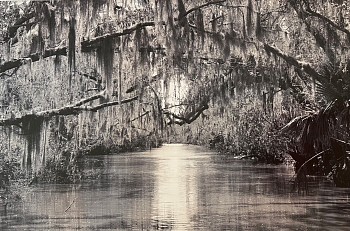 Peter Harron -&nbsp;Along the Bayou